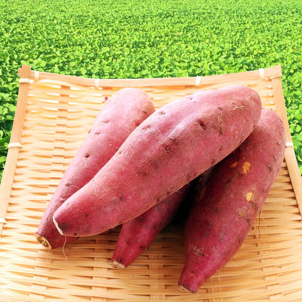IMO (Sweet Potato) SHOCHU “BAKAYARO” 25% 900ml